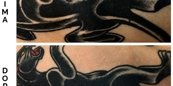 Dopo 1 sola seduta. Il tatuaggio aveva un alone al di fuori dei contorni che è stato eliminato